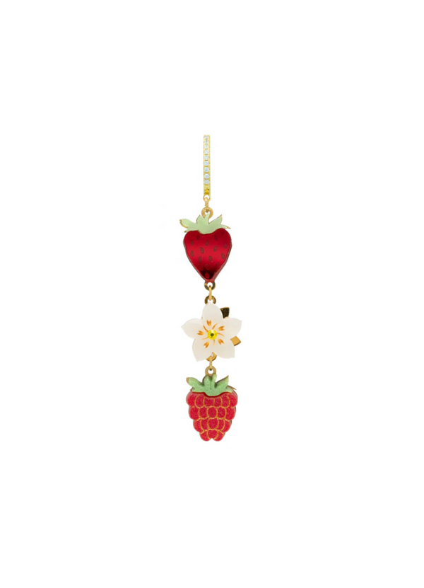FRUTOS SILVESTRES